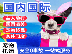 文山砚山机场托运国际宠物托运 【国